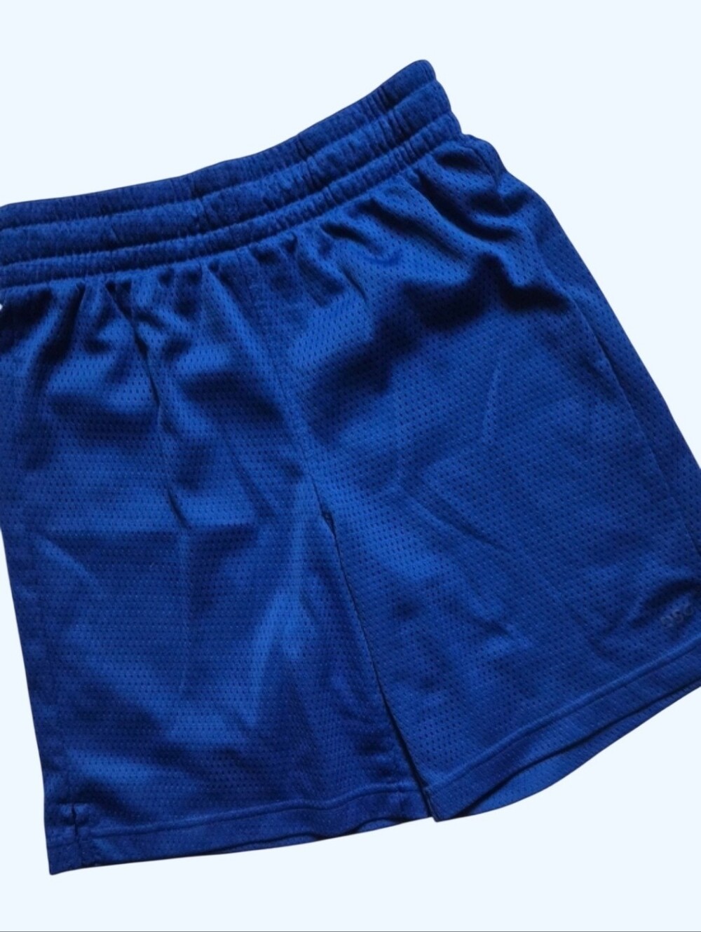 DSG Youth Royal Blue Mesh Active Shorts-Size Small 8-9